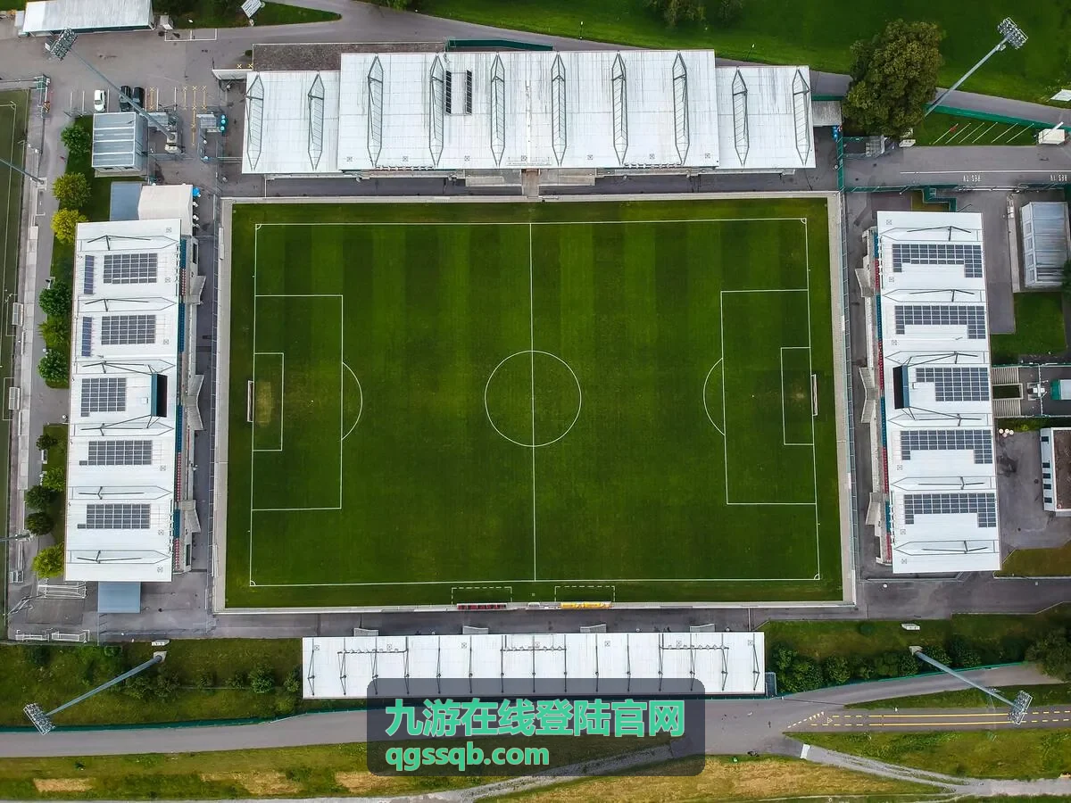九游在线登陆入口指南资讯专题