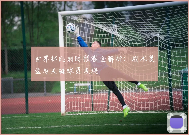 世界杯比利时预赛全解析：战术复盘与关键球员表现