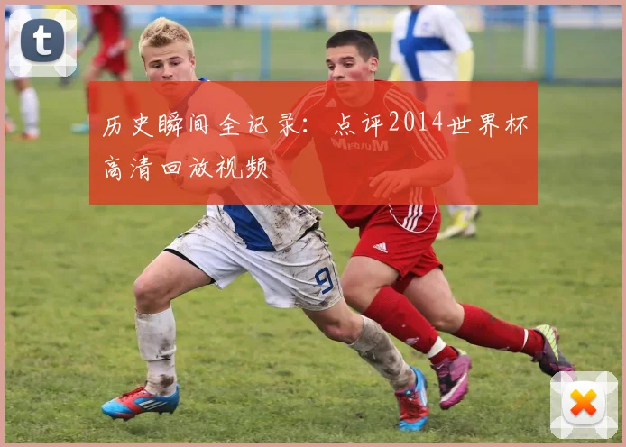 历史瞬间全记录：点评2014世界杯高清回放视频